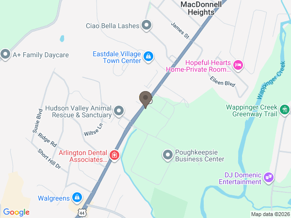 Map showing location of Lilly's Natural Pet Store