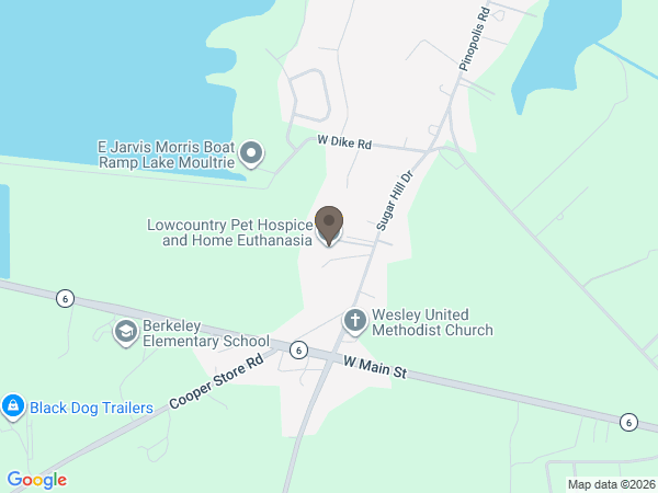 Map showing location of Palmetto Pet Aquamation